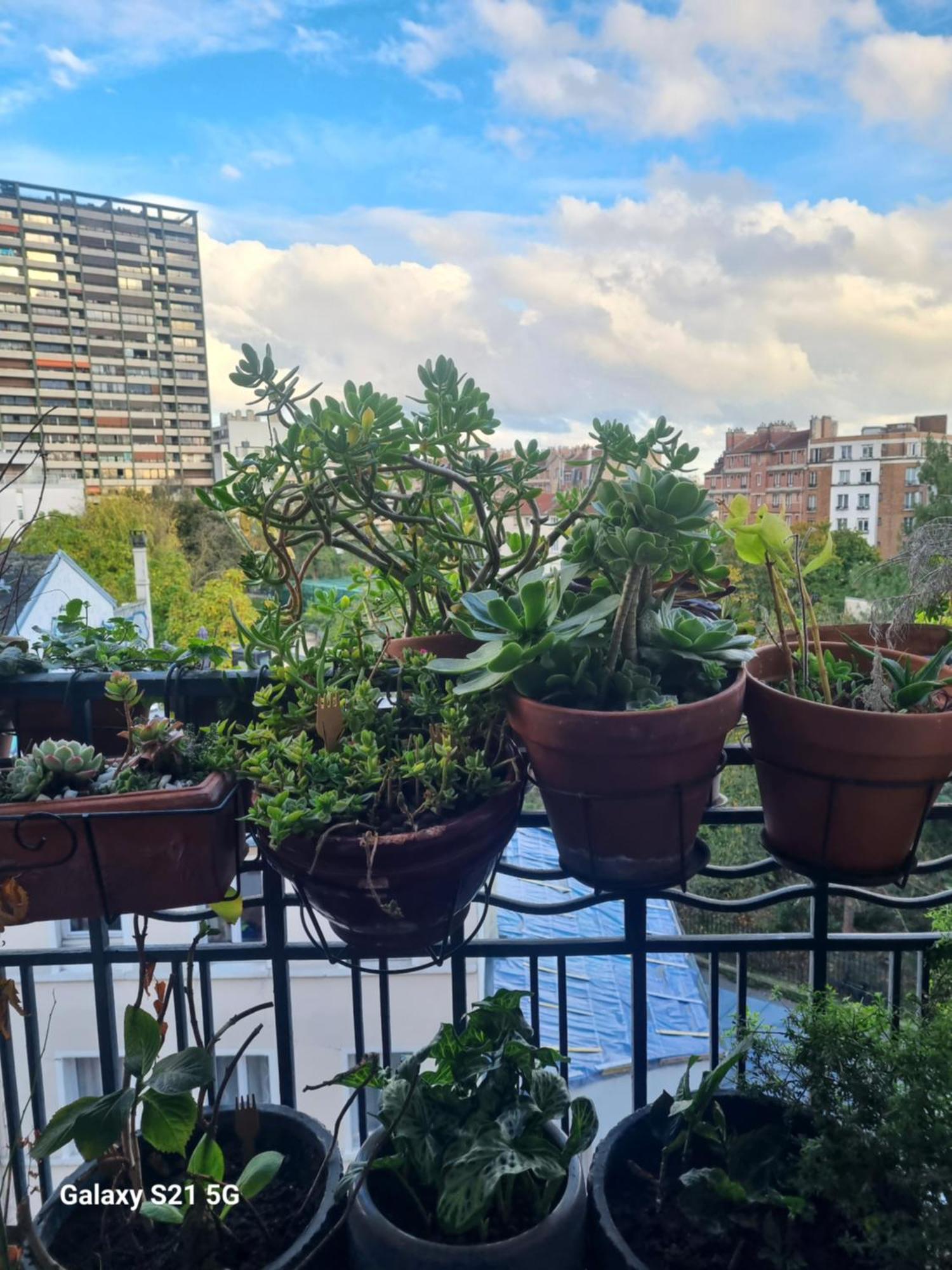 Le Nid D'aigle Apartment *